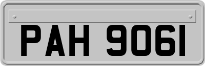 PAH9061