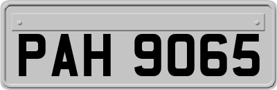 PAH9065