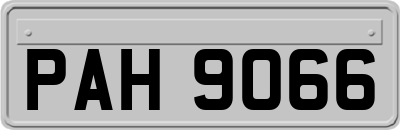PAH9066