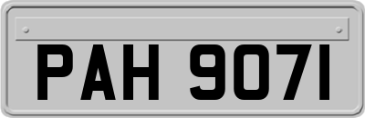 PAH9071