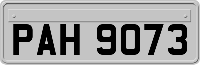 PAH9073