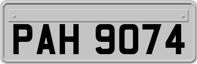 PAH9074