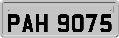 PAH9075