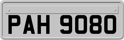 PAH9080