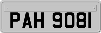 PAH9081