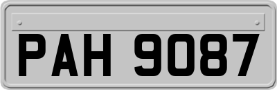 PAH9087