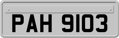 PAH9103