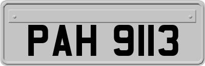 PAH9113