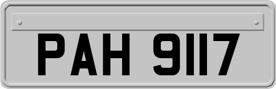 PAH9117
