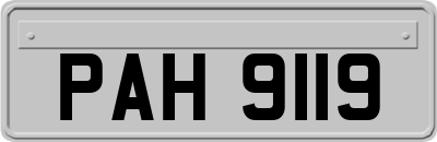 PAH9119