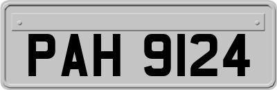 PAH9124