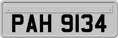 PAH9134