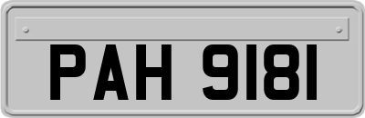 PAH9181