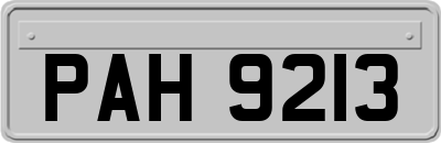 PAH9213