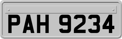 PAH9234