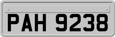 PAH9238