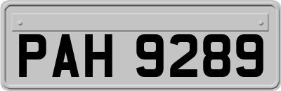 PAH9289