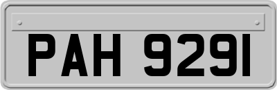 PAH9291