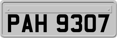 PAH9307