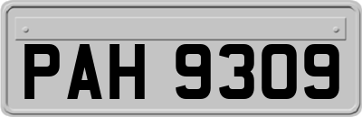 PAH9309