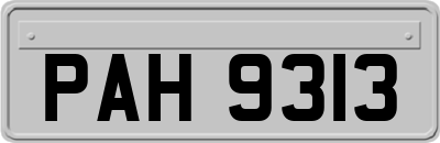 PAH9313