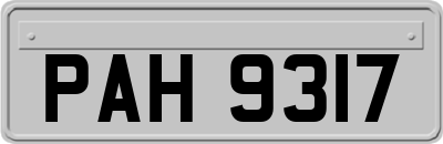PAH9317