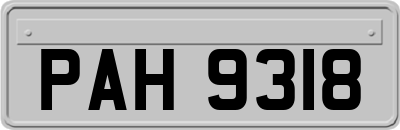 PAH9318