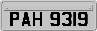 PAH9319