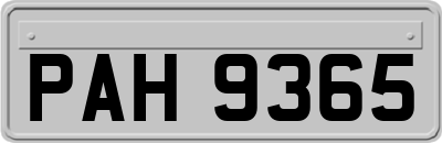 PAH9365