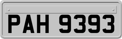 PAH9393