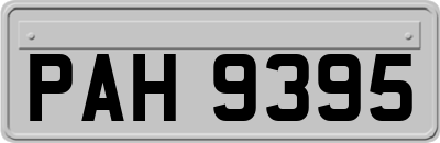 PAH9395
