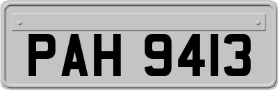 PAH9413