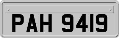 PAH9419
