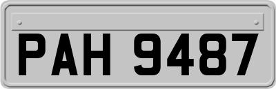 PAH9487