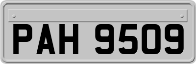 PAH9509