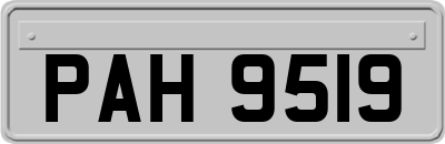 PAH9519
