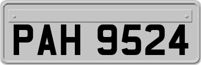 PAH9524