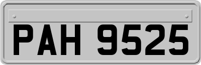 PAH9525