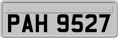 PAH9527