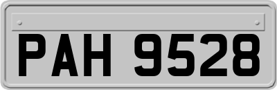 PAH9528