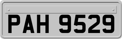 PAH9529