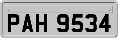 PAH9534