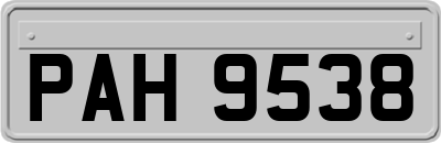 PAH9538