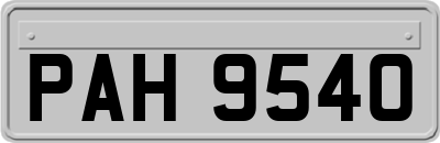 PAH9540