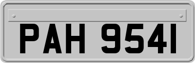 PAH9541