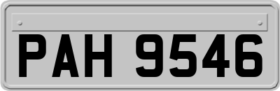 PAH9546