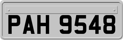 PAH9548