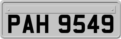 PAH9549