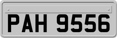 PAH9556