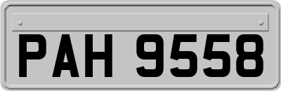 PAH9558